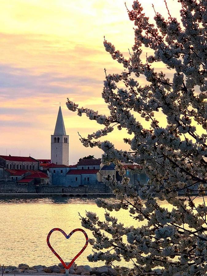 Apartman Perla Deluxe Poreč Exteriör bild